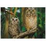 Puzzle Trefl 1000el Sowy - 3